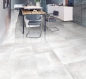 Preview: PrimeCollection HemiPLUS Platinum anpoliert Boden- und Wandfliese 60x60 cm