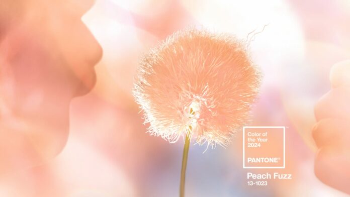 pantone-coy2024 Peach Fuzz