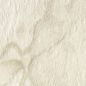Mobile Preview: PrimeCollection Nature Bodenfliese bianco 60x60 cm