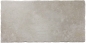Preview: PrimeCollection Forum2 Terrassenplatte beige 40x80 cm