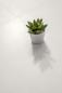 Preview: Sant Agostino Insideart White Soft Boden- und Wandfliese 60x60 cm