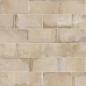 Preview: PrimeCollection Heartland Sand Wand- und Bodenfliese 30x60,3 cm