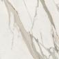 Preview: Mirage Cosmopolitan Calacatta Gold Poliert Boden- und Wandfliese 80x80 cm