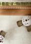 Preview: Mirage Elysian Travertino Pearly gebürstet Boden- und Wandfliese 120x120 cm