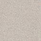Preview: Sant Agostino Newdeco Pearl Naturale Boden- und Wandfliese 60x60 cm