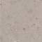 Pastorelli Biophilic Wand- und Bodenfliese Grey 60x120 cm