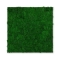 PrimeCollection Akustik Wandpaneel Nature Green Moos 52x52 cm