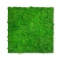 PrimeCollection Akustik Wandpaneel Rich Green Moos 52x52 cm