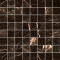 Margres Endless Port Black Poliert Mosaik 3,5x3,5 cm