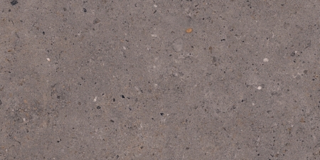 Pastorelli Biophilic Wand- und Bodenfliese Dark Grey 30x60 cm
