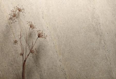Flaviker Rockin' Boden- und Wandfliese Desert 60x120 cm