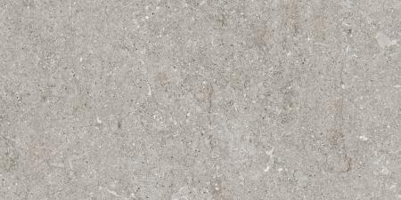 Florim Creative Design Sensi Grey Fossil Natural Boden- und Wandfliesen 40x80 cm
