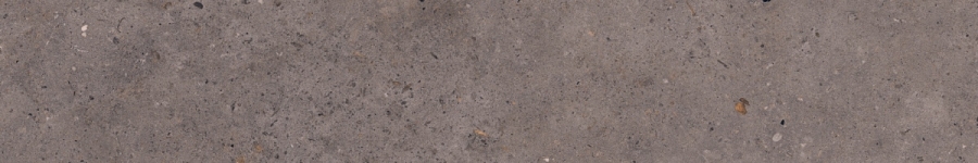 Pastorelli Biophilic Wand- und Bodenfliese Dark Grey 20x120 cm