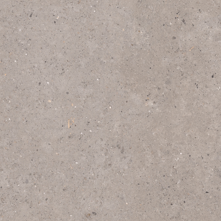 Pastorelli Biophilic Wand- und Bodenfliese Grey 120x120 cm