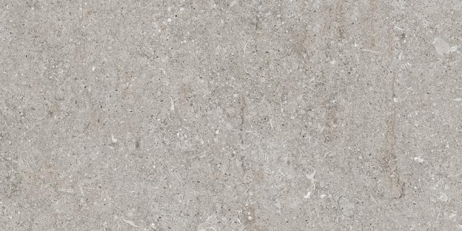 Florim Creative Design Sensi Grey Fossil Natural Boden- und Wandfliesen 40x80 cm
