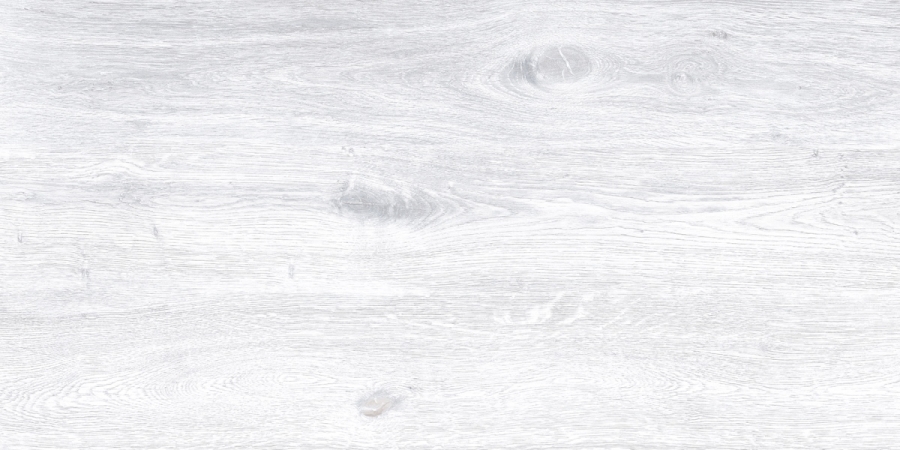 Keraben Naturwood Boden- und Wandfliese Ice 60x120 cm