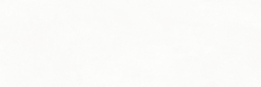 PrimeCollection Wandfliese Chromatic weiß matt 33x100 cm