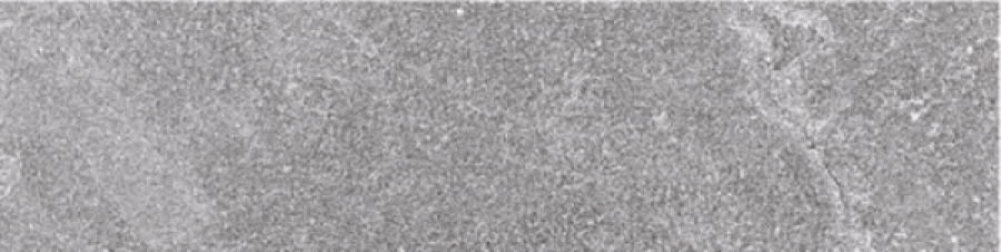 PrimeCollection QuarzStone Boden- und Wandfliese Grey 15x60 cm