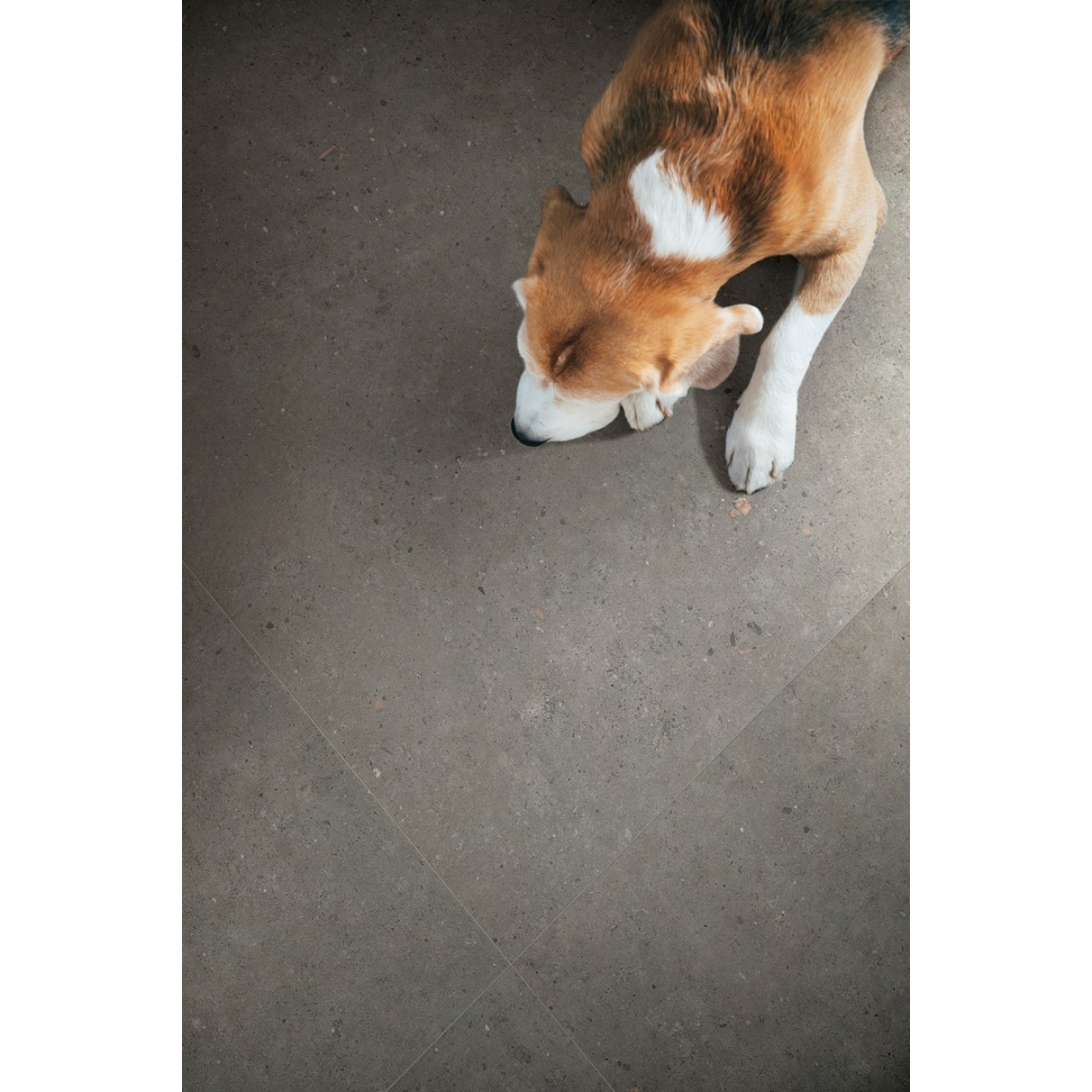 Pastorelli Biophilic Wand- und Bodenfliese Dark Grey 20x120 cm