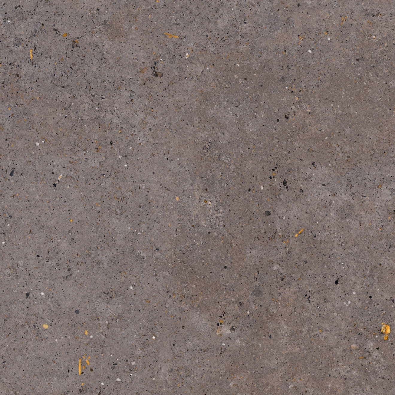 Pastorelli Biophilic Wand- und Bodenfliese Dark Grey 120x120 cm