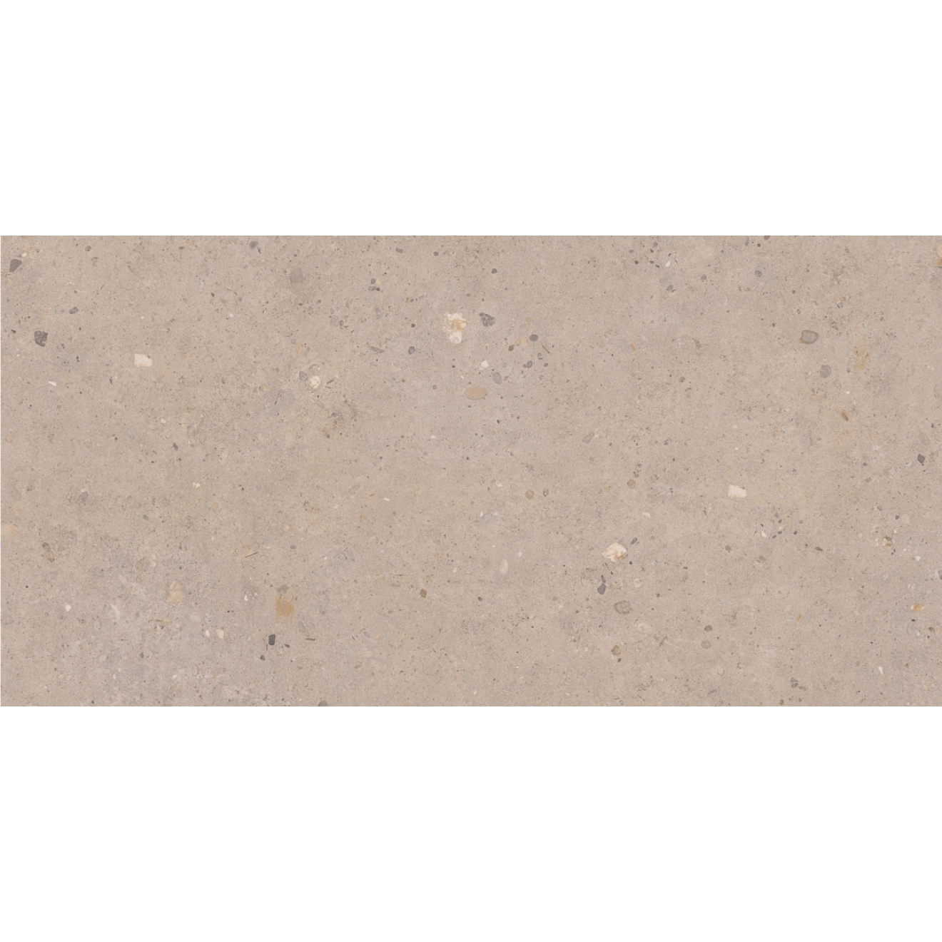 Pastorelli Biophilic Wand- und Bodenfliese Greige 60x120 cm