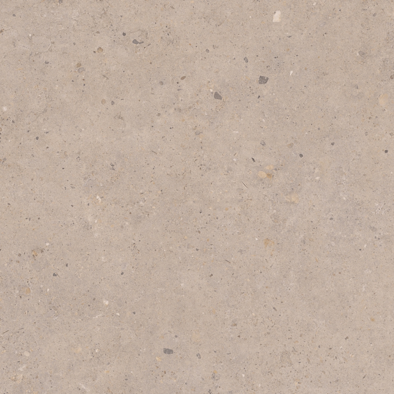 Pastorelli Biophilic Wand- und Bodenfliese Greige 80x80 cm