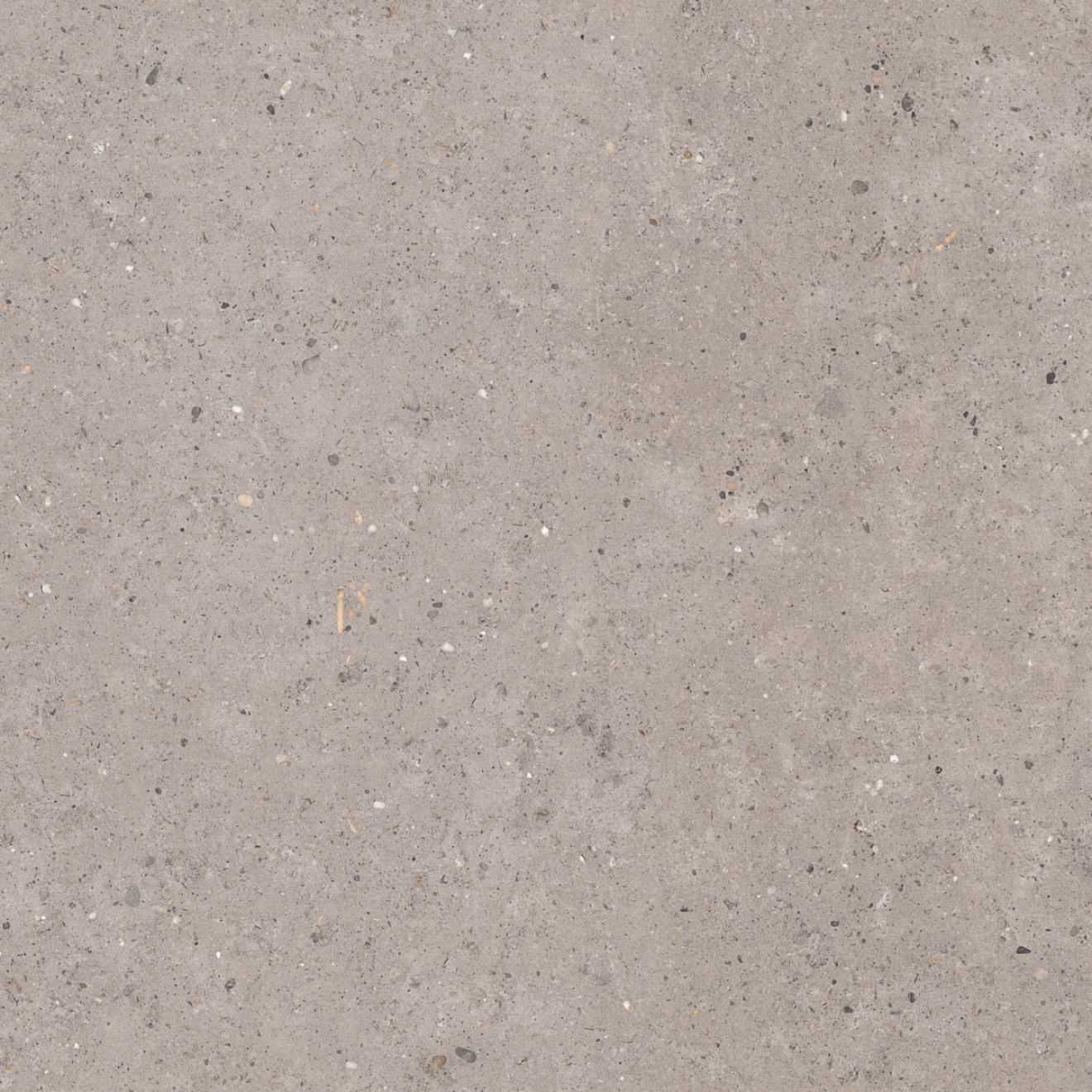 Pastorelli Biophilic Wand- und Bodenfliese Grey 120x120 cm