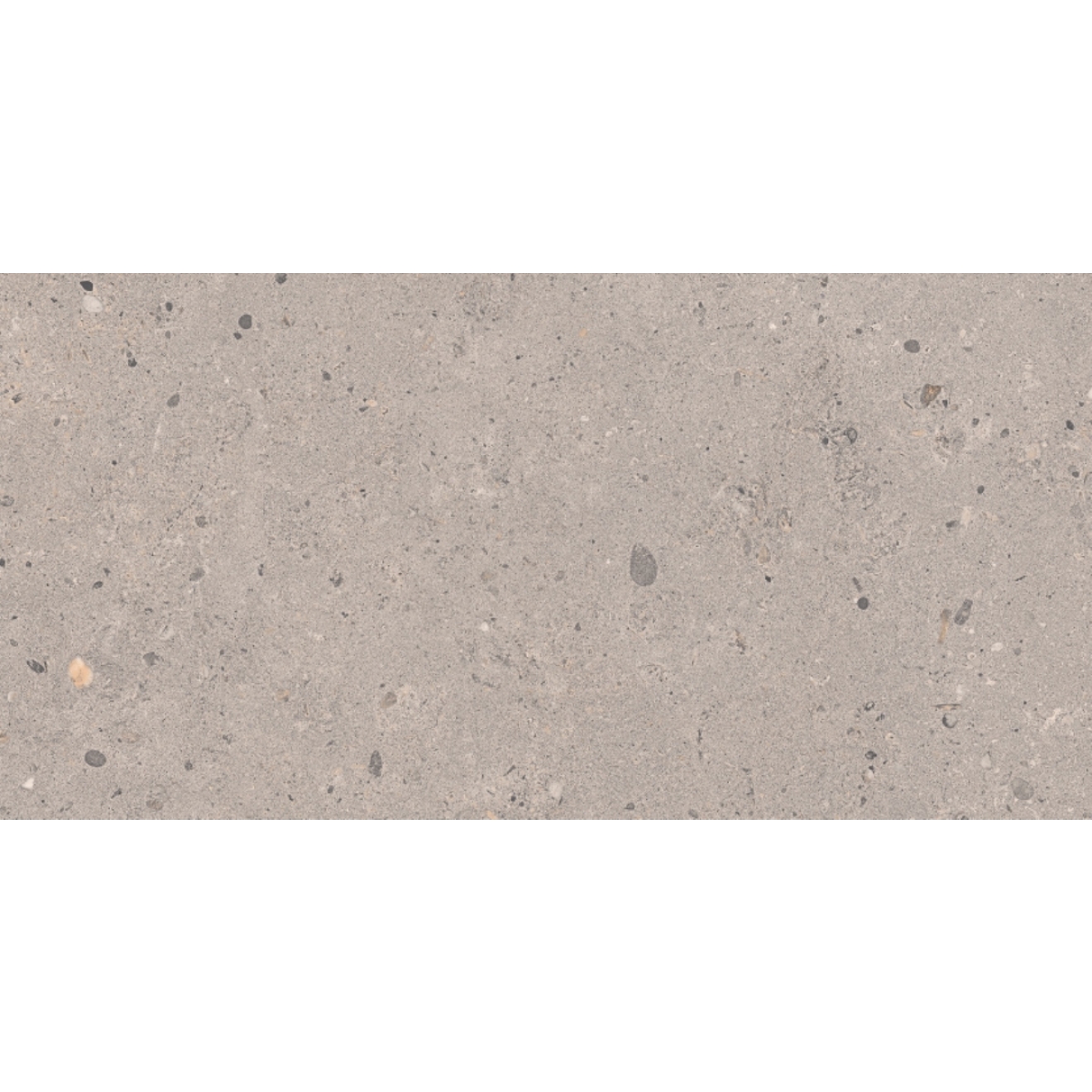 Pastorelli Biophilic Wand- und Bodenfliese Grey 30x60 cm