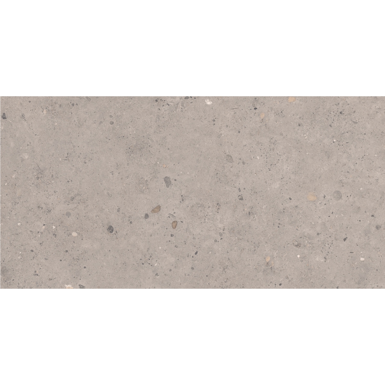 Pastorelli Biophilic Wand- und Bodenfliese Grey 60x120 cm