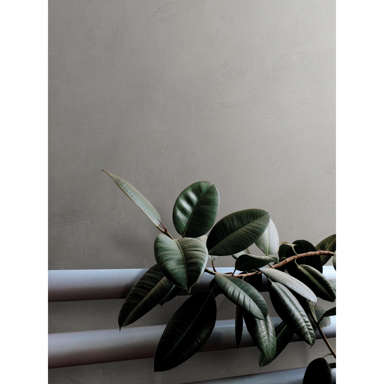 PrimeCollection Timeline Boden- und Wandfliese Grey 60x120 cm