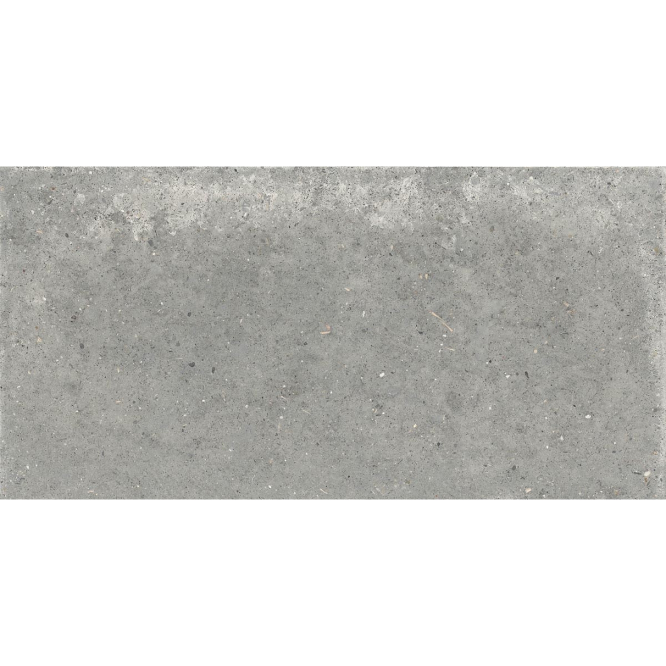 Flaviker Anima X20 Terrassenplatte Grigio 60x120