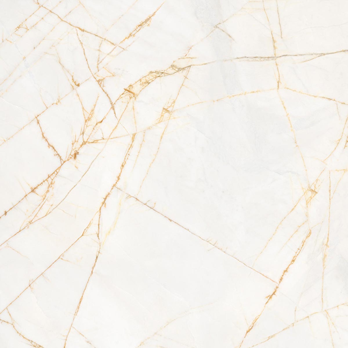 Flaviker Supreme Hedonism Golden Spider NAT Boden- und Wandfliese 120x120 cm