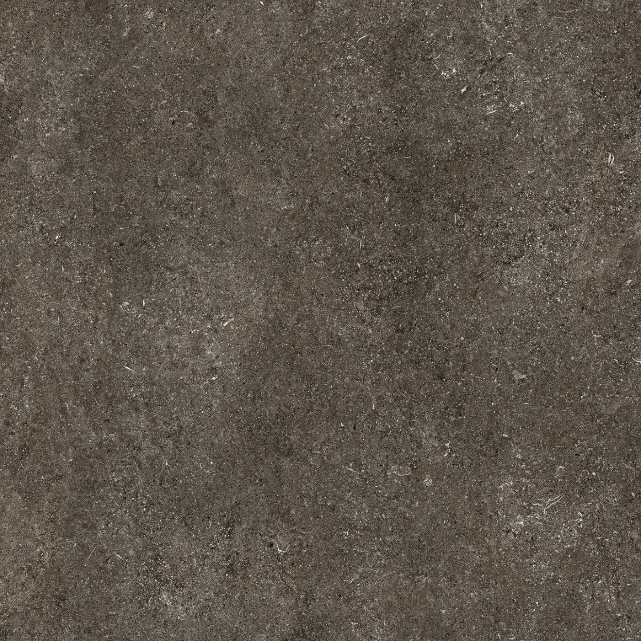 Florim Creative Design Sensi Brown Fossil Natural Boden- und Wandfliese 120x120 cm 6mm