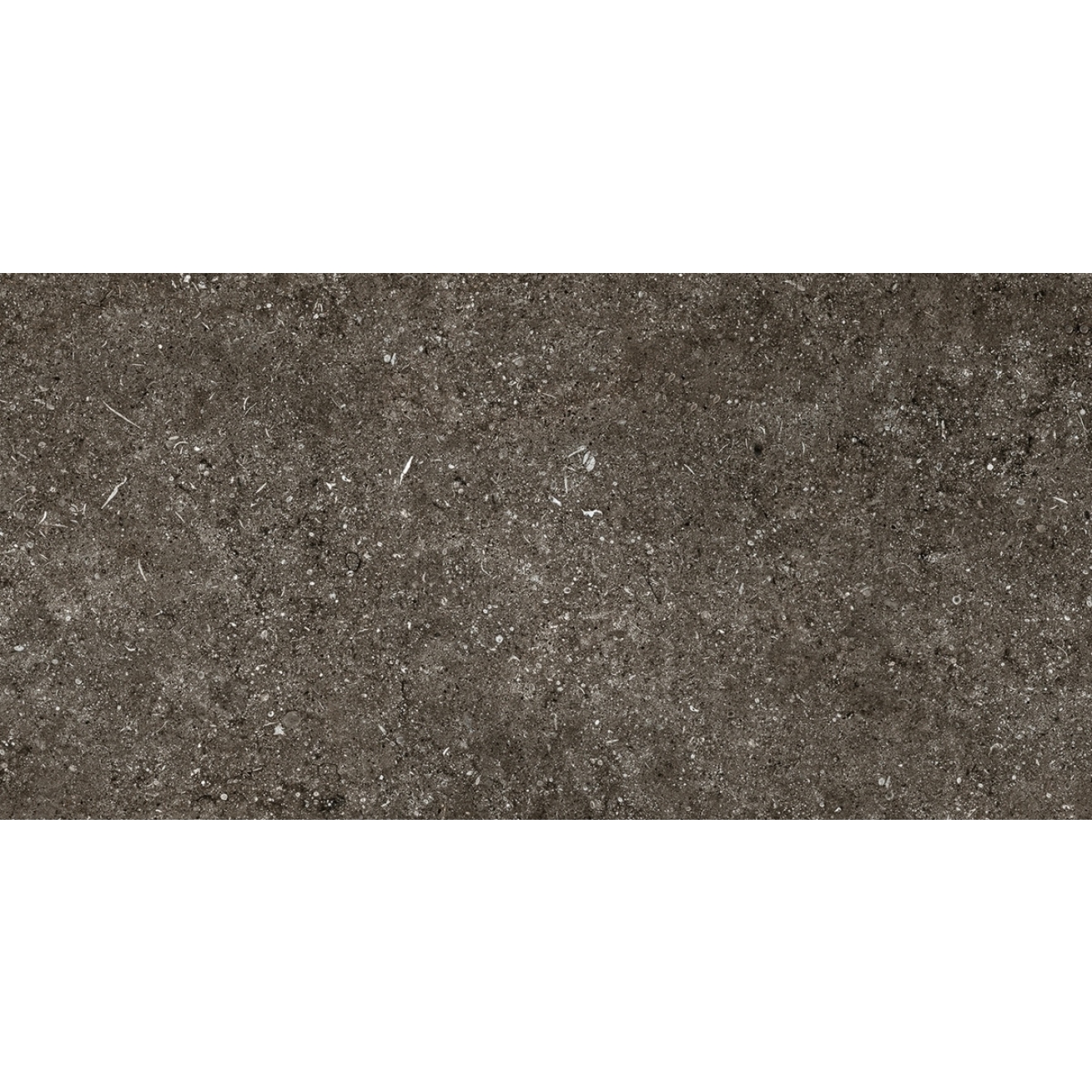 Florim Creative Design Sensi Brown Fossil Natural Boden- und Wandfliese 60x120 cm 6mm