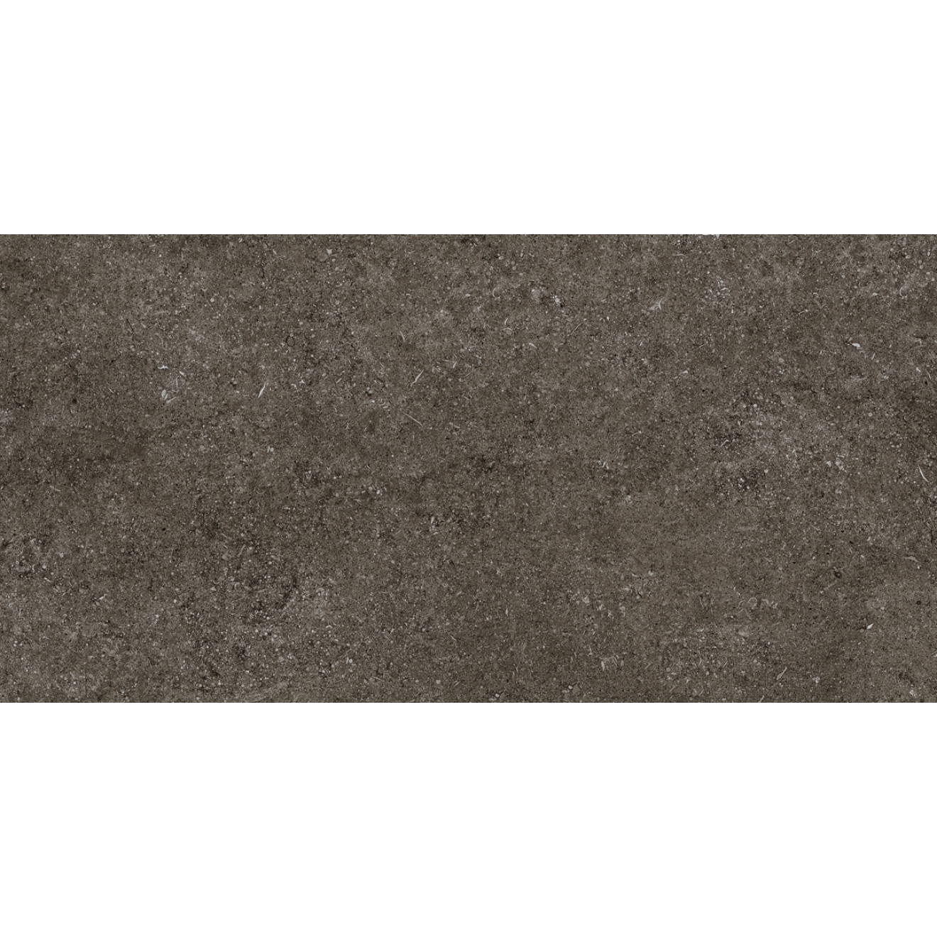 Florim Creative Design Sensi Brown Fossil Natural Boden- und Wandfliese 60x120 cm