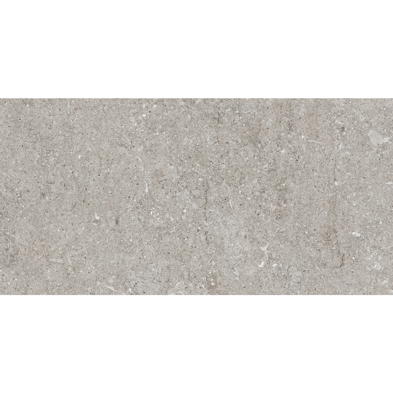 Florim Creative Design Sensi Grey Fossil Natural Boden- und Wandfliese 40x80 cm