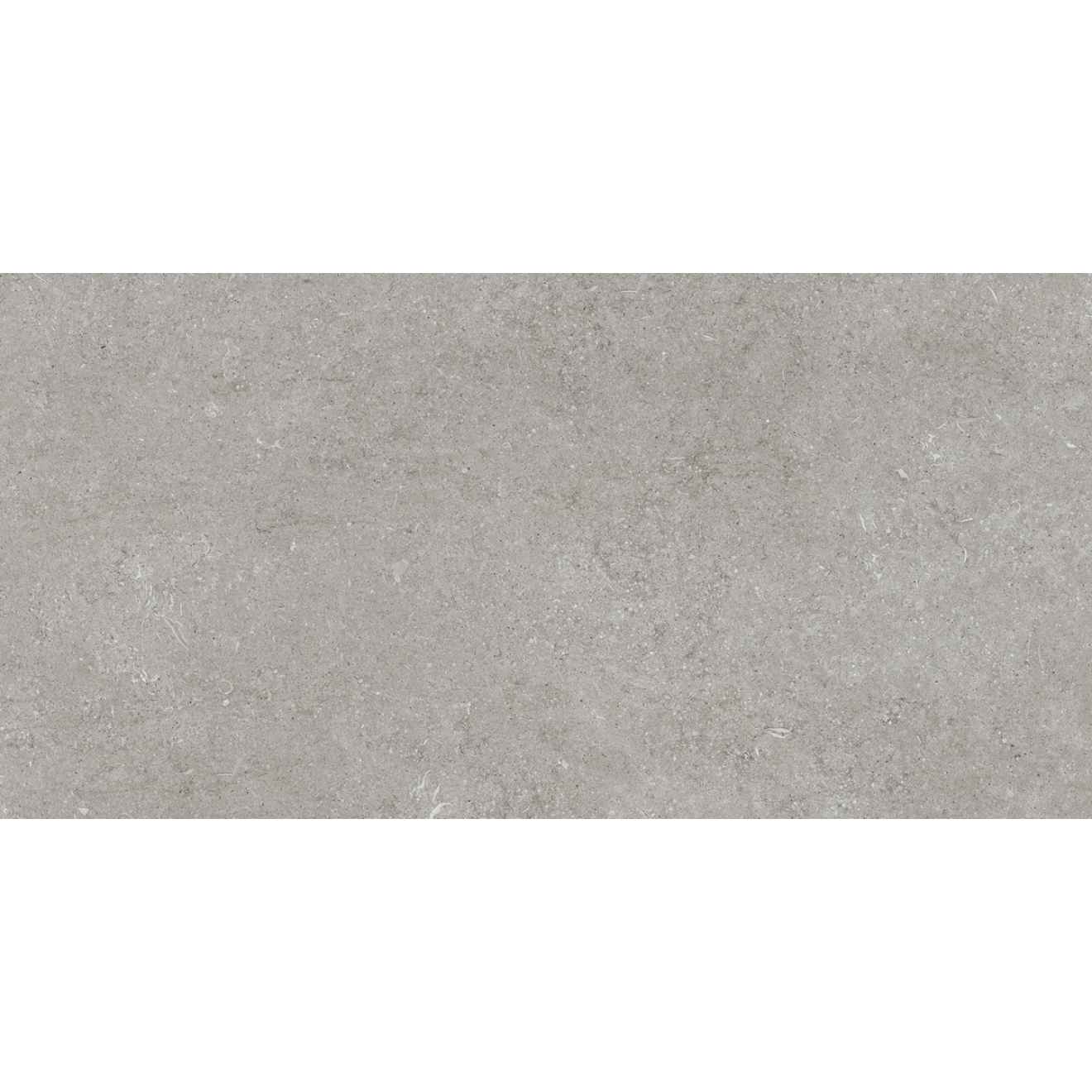 Florim Creative Design Sensi Grey Fossil R+PTV Boden- und Wandfliese 60x120 cm