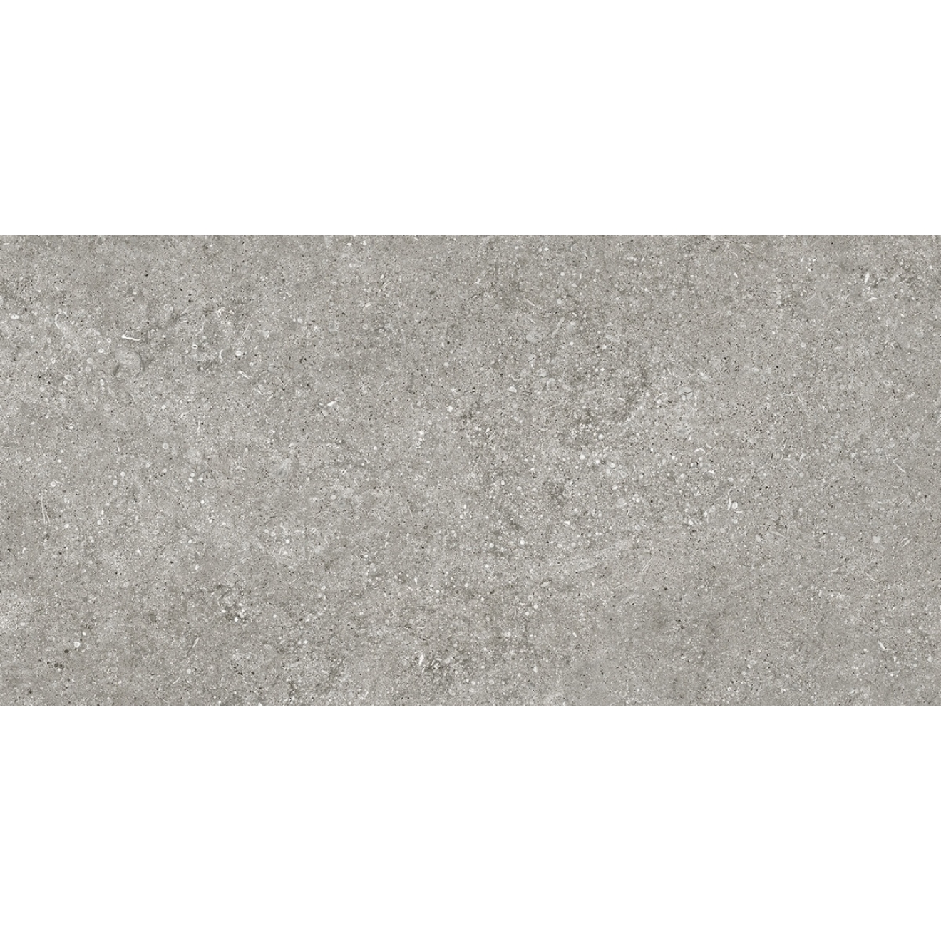 Florim Creative Design Sensi Grey Fossil Natural Boden- und Wandfliese 60x120 cm 6mm