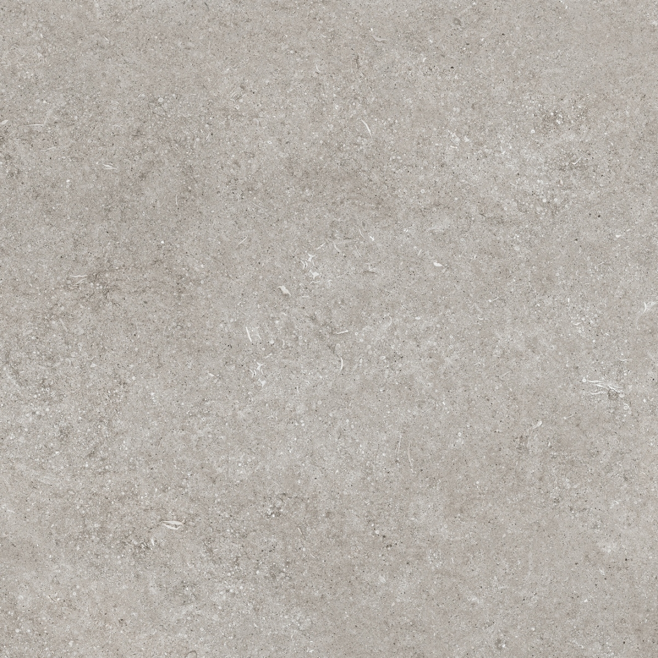 Florim Creative Design Sensi Grey Fossil R+PTV Boden- und Wandfliese 80x80 cm