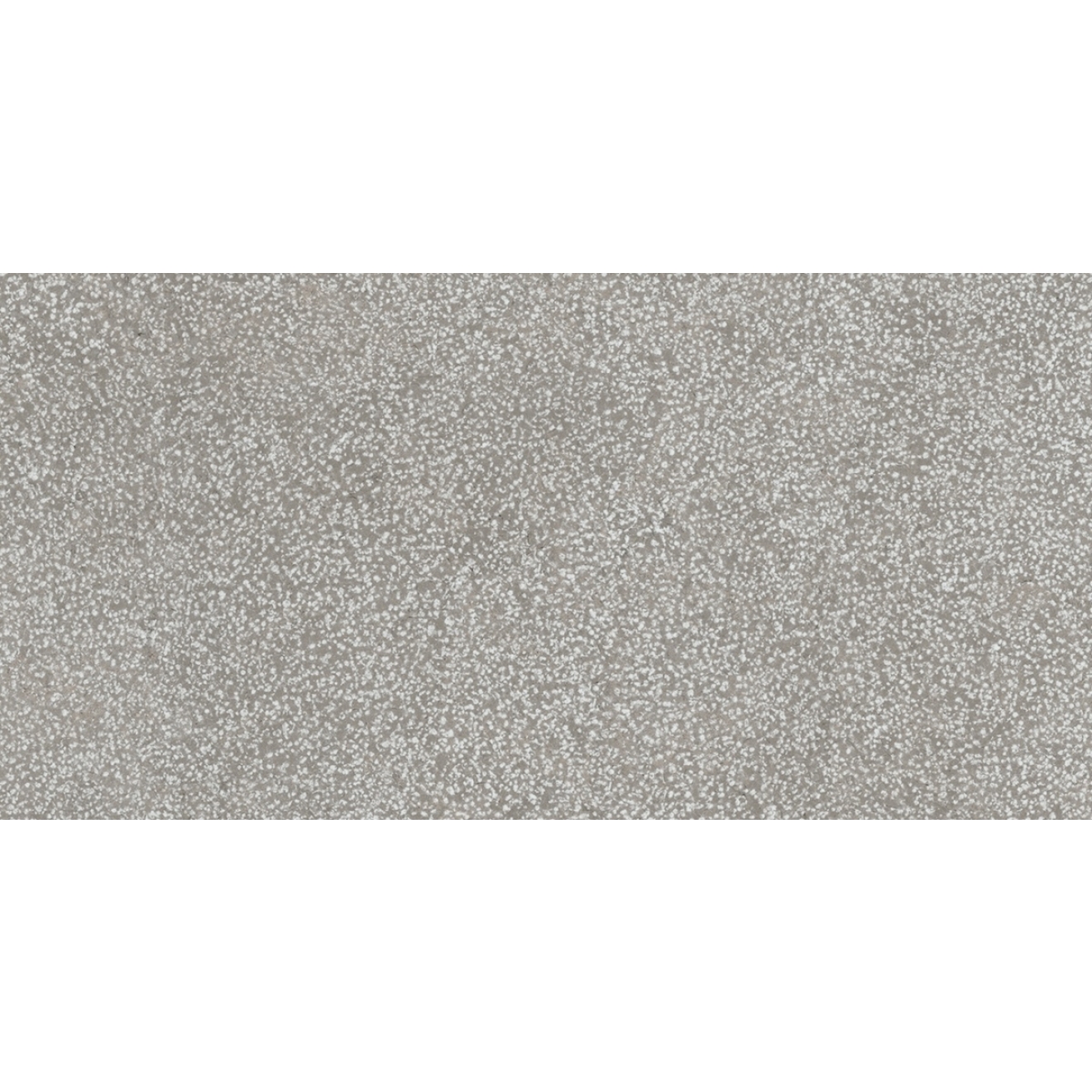 Florim Creative Design Sensi Grey Lithos Natural Boden- und Wandfliese 40x80 cm
