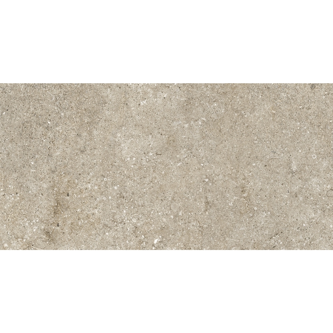 Florim Creative Design Sensi Ivory Fossil Natural Boden- und Wandfliese 40x80 cm