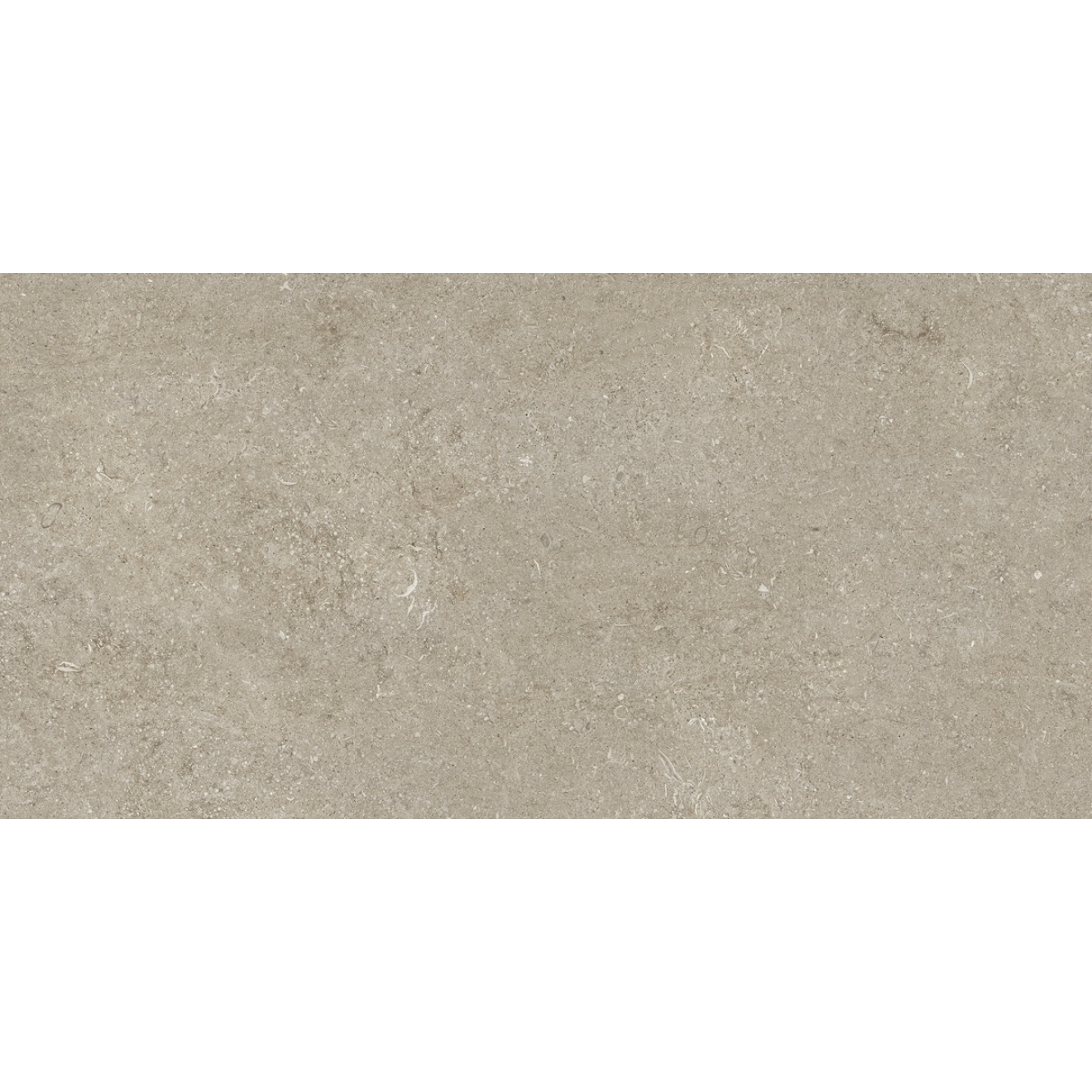 Florim Creative Design Sensi Ivory Fossil Natural Boden- und Wandfliese 60x120 cm