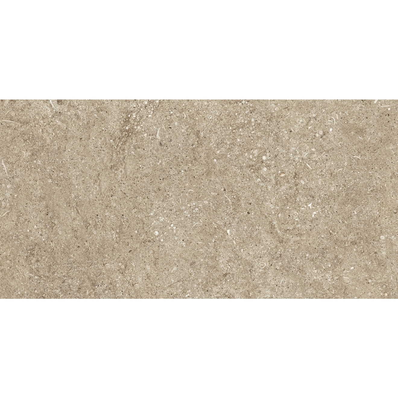 Florim Creative Design Sensi Taupe Fossil Natural Boden- und Wandfliese 40x80 cm