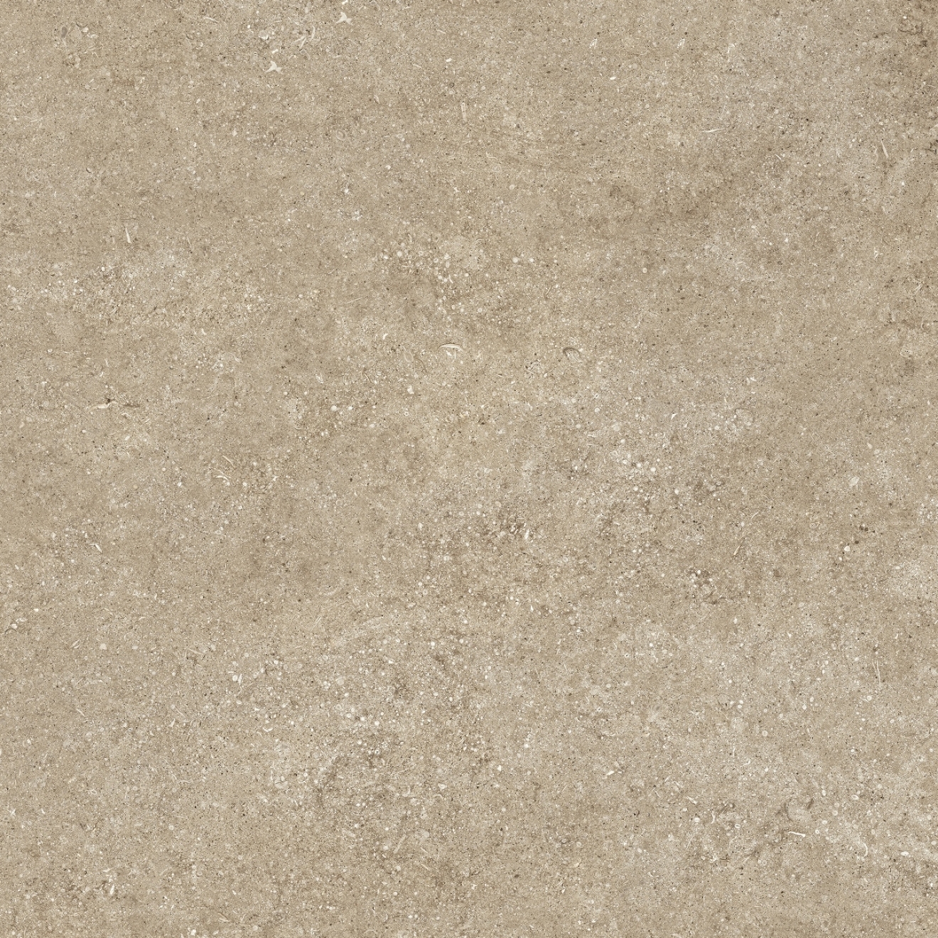 Florim Creative Design Sensi Taupe Fossil R+PTV Boden- und Wandfliese 80x80 cm