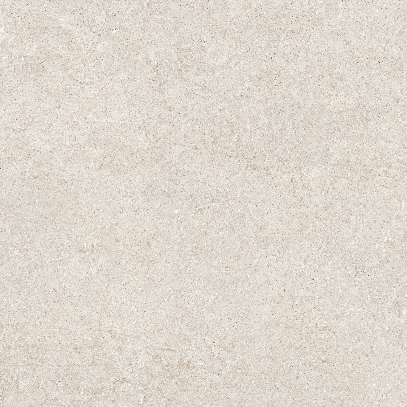 Florim Creative Design Sensi White Fossil R+PTV Boden- und Wandfliese 80x80 cm
