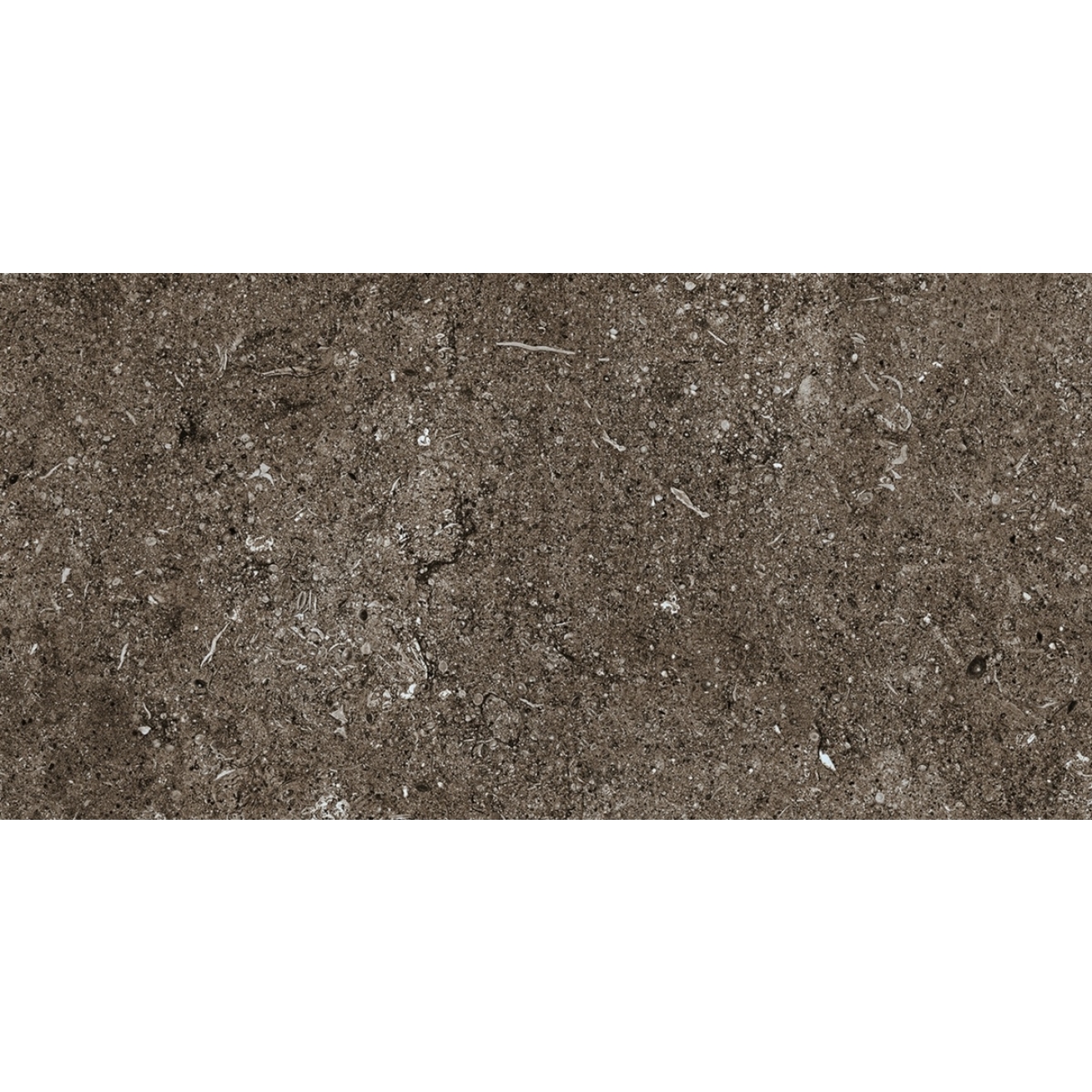 Florim Creative Design Sensi Brown Fossil R+PTV Boden- und Wandfliese 40x80 cm