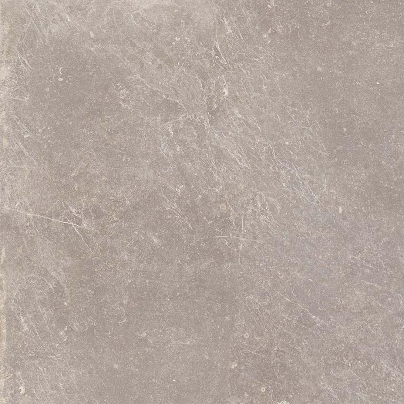 Keraben Bleuemix Boden- und Wandfliese Taupe Natural 60x60 cm