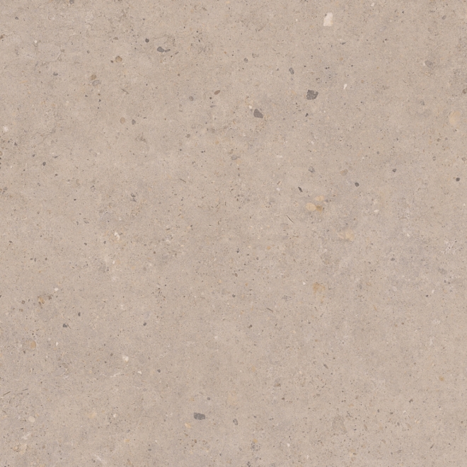 Pastorelli Biophilic Wand- und Bodenfliese Greige 80x80 cm