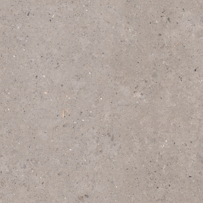 Pastorelli Biophilic Wand- und Bodenfliese Grey 120x120 cm