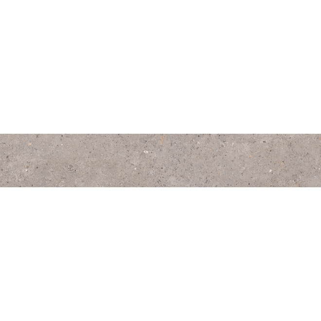 Pastorelli Biophilic Wand- und Bodenfliese Grey 20x120 cm